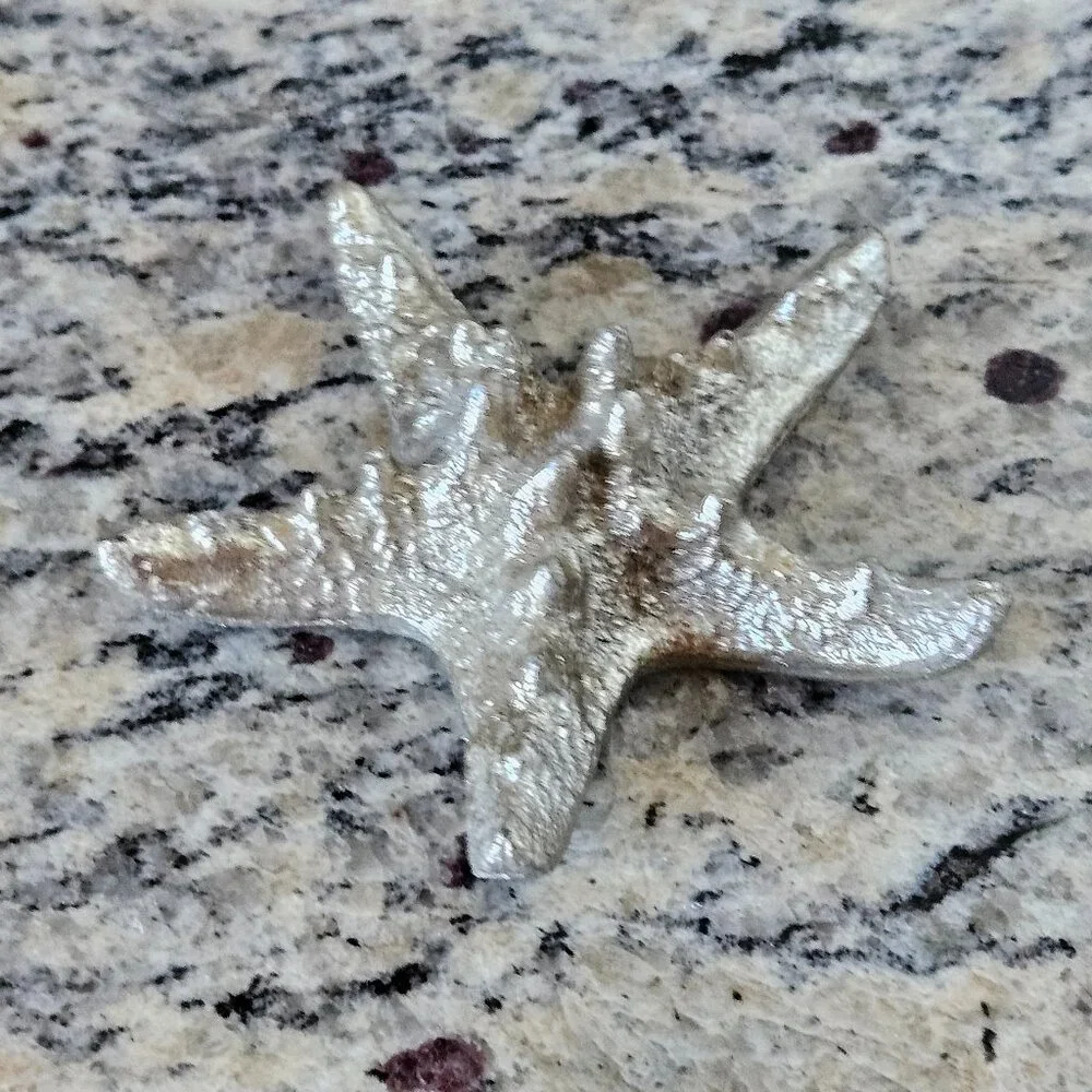 REGINA ANDREW MODERN SILVER STARFISH COASTAL BEACH VASE FILLER HOME TABLE DECOR